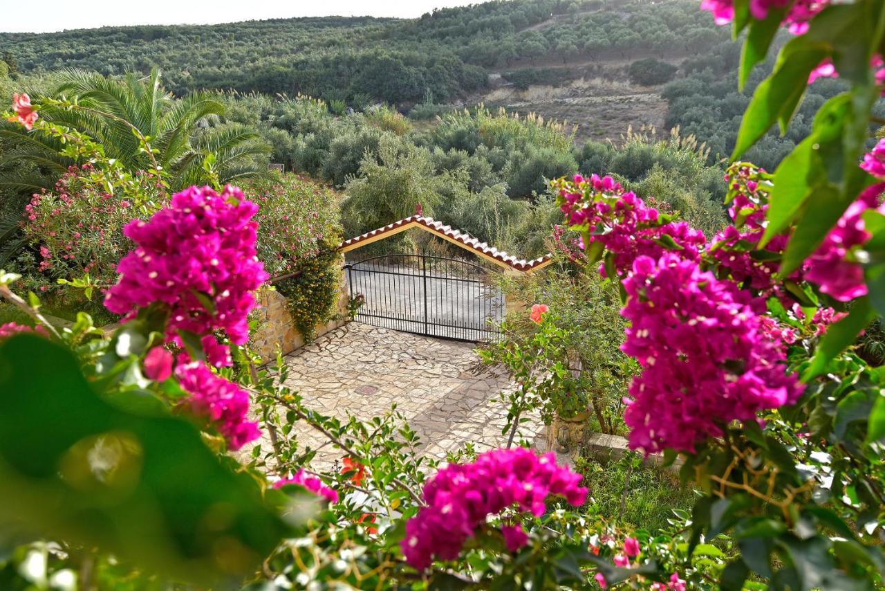 הוילה Agia Marina Olive Farm מראה חיצוני תמונה