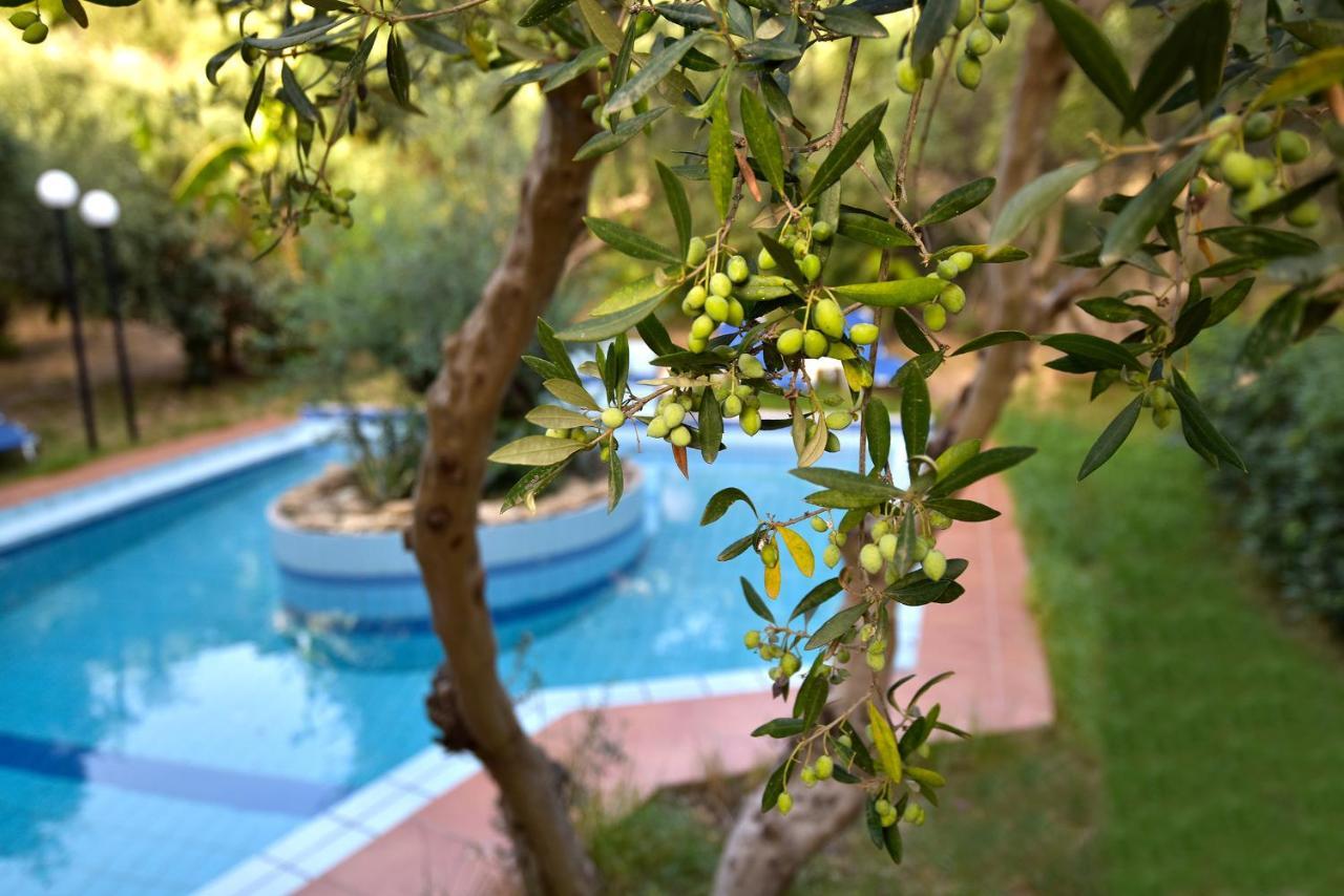 הוילה Agia Marina Olive Farm מראה חיצוני תמונה