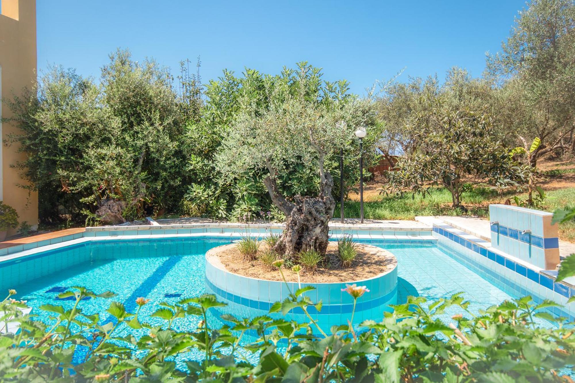 הוילה Agia Marina Olive Farm מראה חיצוני תמונה