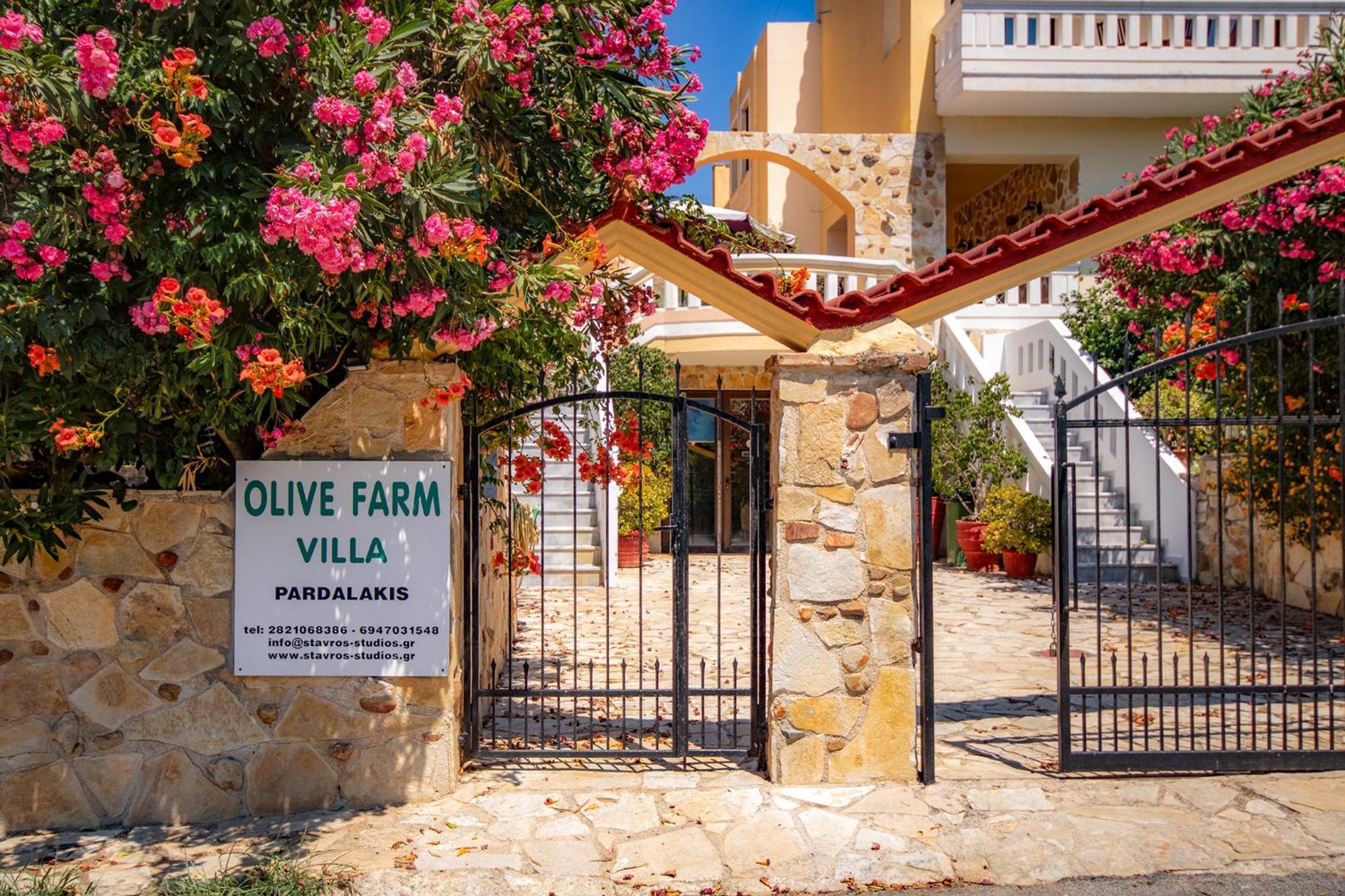 הוילה Agia Marina Olive Farm מראה חיצוני תמונה
